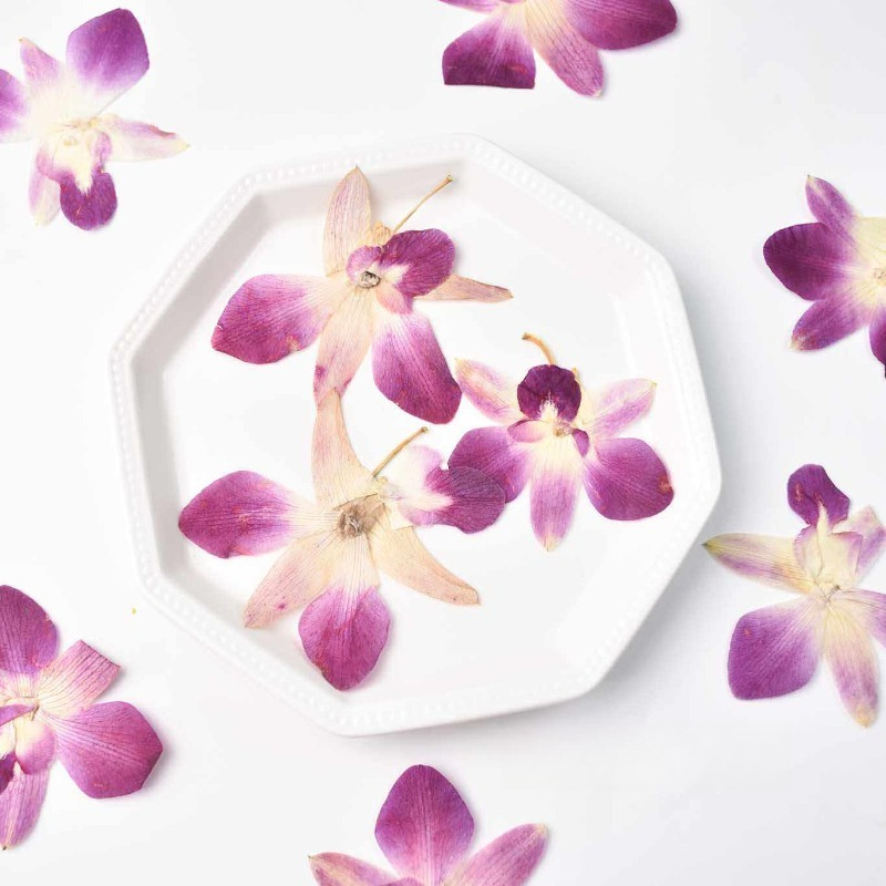 Resin Craft Ideas - 4 szt., Prawdziwe, prasowane kwiaty orchidei