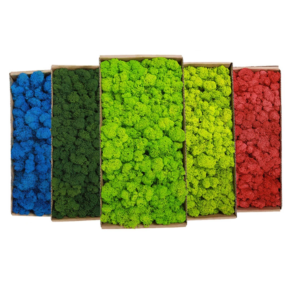 20-200g Sztuczne rośliny zielo – Terrarium Moss Art recenzja i cena