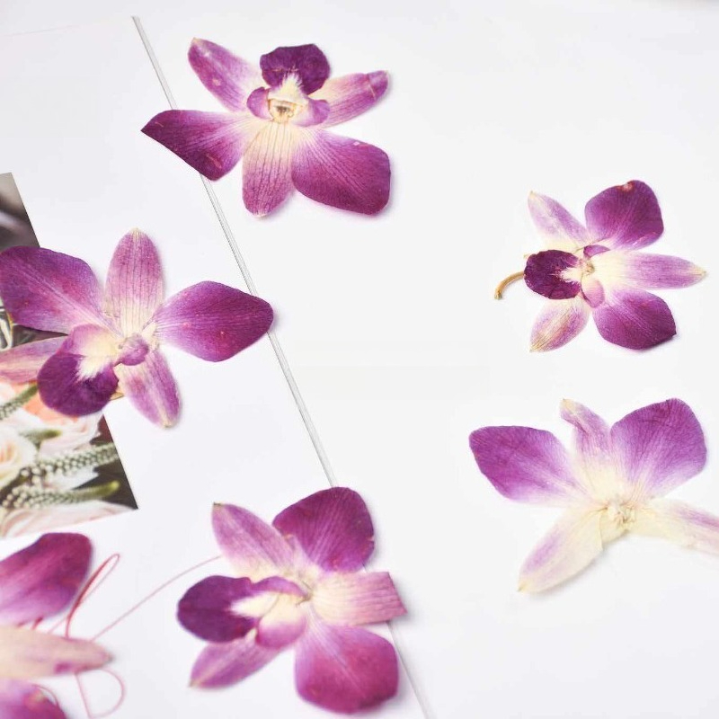 4 szt., Prawdziwe, prasowane k – Resin Craft Ideas recenzja i cena
