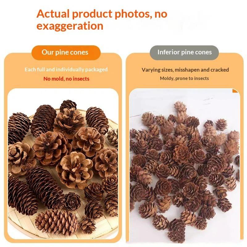 Naturalne suszone szyszki sosn – Dried Flower Bulk recenzja i cena