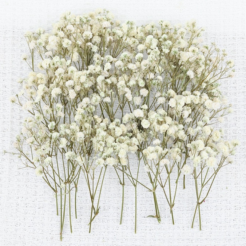 50 sztuk naturalnych suszonych – Dried Flower Bulk recenzja i cena